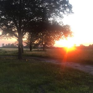 Meet your Posher, Cameron